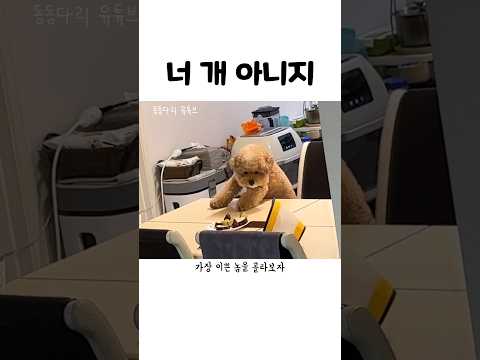 (혼자 있음)