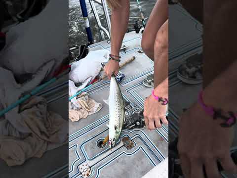 Trolling inshore, easy & effective!