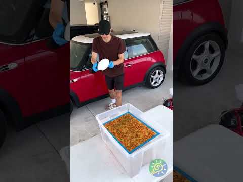 🚗 Aqua-Print für Dein Auto! 🚗