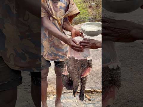 Amazing 😍 see how Hadzabe successful hunt porcupine and Cooking it for Lunch #tradition #bushcraft