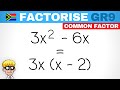Factorization of Algebraic Expressions