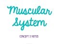 Muscular System Functions and Mechanics