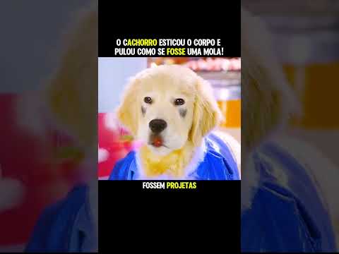 O cachorro esticou o pescoço como se fosse uma mola! #filmes #filmee #series #filme #film