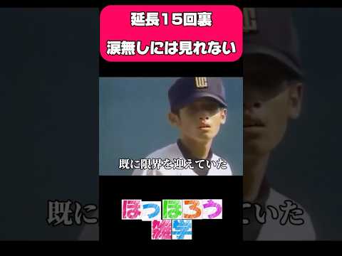 涙無しには、見れない甲子園#感動#高校野球#野球#甲子園#雑学