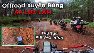 Offroad Xuyên Rừng #1 - Vào Rừng Trốn Drama Vì Quá Áp Lực - Xe Ôm Vlog