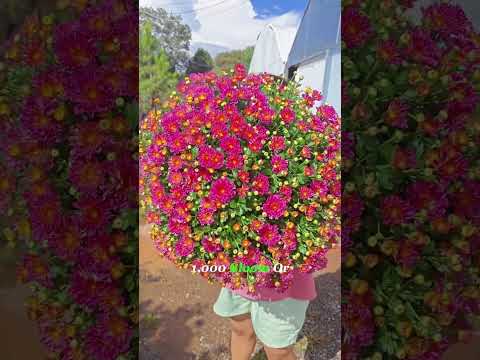 #planting #oddlysatisfying #flowers #farmer