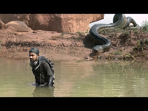 Anaconda Snake Attack Boys In Forest | An Anaconda Snake Attack Brief Story 4