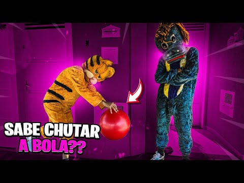 CUCA - ENSINA O GATINHO CHUTAR A BOLA ??? 🤣