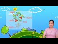 Plant Growth and Functions Assessment