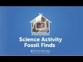 Fossil Finds Activity Questions