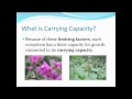 Exploring Limiting Factors and Carrying Capacity in Ecosystems