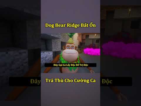 Dog Bear Rigde Bất Ổn Tôi Báo Thù Cho Cường Ca ( Tập 2 ) 😭 #shorts