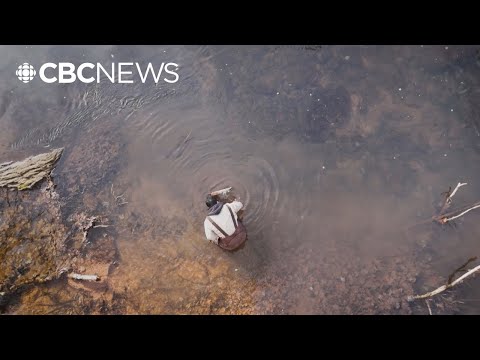 YouTube video thumbnail: How Growing Soybeans Could Support Healthier Waterways on P.E.I.