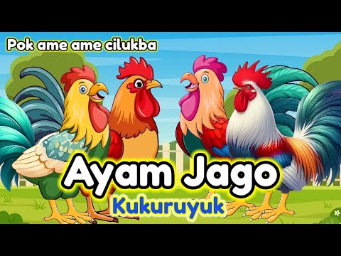 Lagu Anak 🇮🇩 Pok Ame Ame Cilukba Viral - Kuku Kukuruyuk - Lagu Ayam Jago - Ayam Berkokok