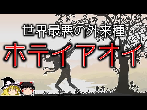 【ゆっくり解説】青い悪魔と呼ばれる世界最悪の外来種「ホテイアオイ」