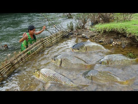 Top 1 Fishing Video Catch A Lot Of Fish, Survival Bushcraft Cooking Fish