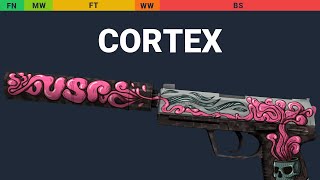 USP-S Cortex Wear Preview