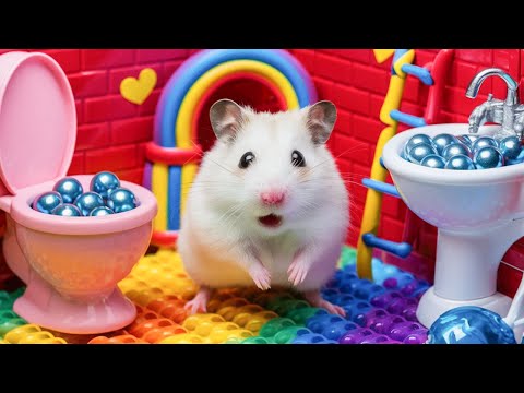 Hamster Pop It Maze Escape 🐹🌈  the Rainbow Prison Maze - Hamster's Great Escape