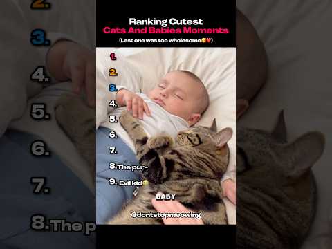 Ranking Cutest Cats And Babies Moments