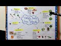 Identifying Edible Plant Parts