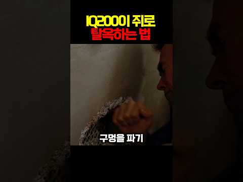 IQ200이 쥐로 탈옥하는 법