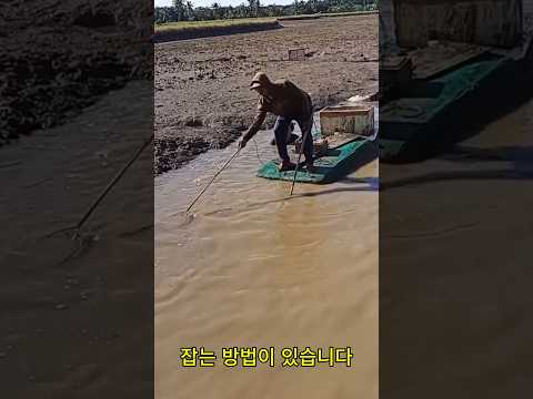 두 개의 막대로 물고기를 잡는 북한 사람들
