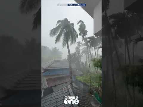 മലപ്പുറം തൃക്കലങ്ങോട് വീടിന് മുകളിലേക്ക് തെങ്ങ് കടപുഴകി വീണു...