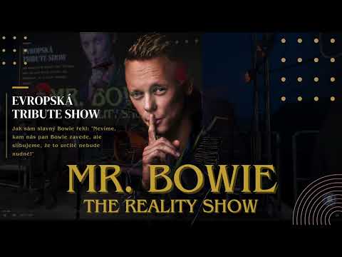 Mr Bowie, Celebration Concert