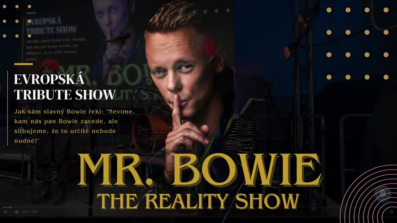 Mr Bowie, Celebration Concert