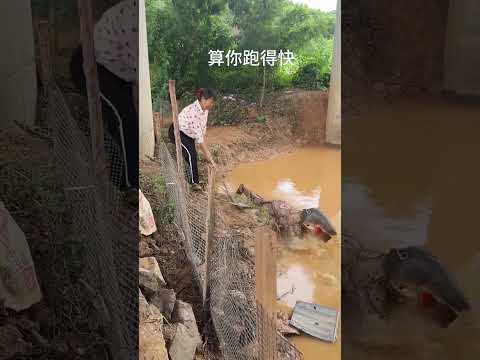 ACTION SHORT VIDEO FUNNY VIDEO 😁 🤣fastaction #action