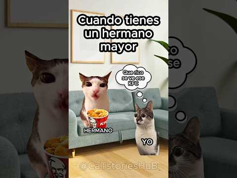 Cuando tienes un hermano mayor #funnyvideo #historiasdegatos #storytime #gatitos #cats #shorts