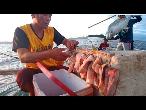 Pang malakihang isda ang palangre namin,naka Jackpot din ng isdang malaki
