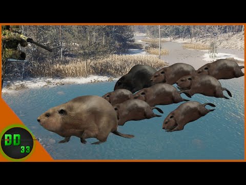 A Suprise From Above On The Pesky BEAVERS!! Call Of The Wild