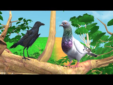 कबूतर और कौवा की कहानी - Pigeon and Crow Story - 3D Hindi Kahaniya - New Cartoon Hindi Stories