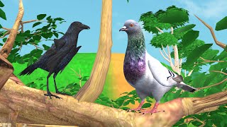 कबूतर और कौवा की कहानी - Pigeon and Crow Story - 3D Hindi Kahaniya - New Cartoon Hindi Stories