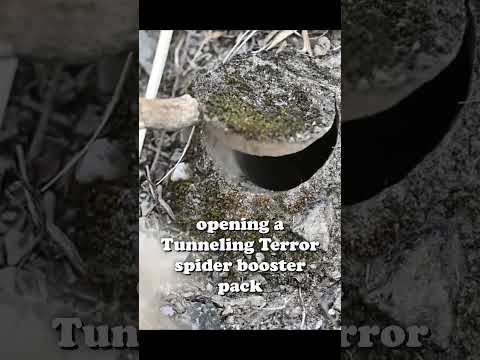 opening Tunneling Terror spider booster packs