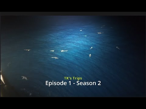 TK's Christmas special! More Sharks swarming the boat and a Christmas surprise for the crew.