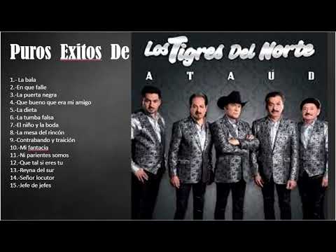 MIX TIGRES DEL NORTE PUROS EXITOS