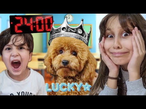 RÜYA YAVRU KÖPEĞİMİZ LUCKY İLE BİR GÜN VLOG!*