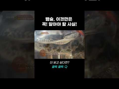 뱀술, 이것만은 꼭 알아야 할 사실! | 리얼다큐 숨