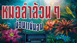 หมอลำล้วนๆ ม่วนแน่นอน : ป.ฉลาดใหญ่ Music Longplay