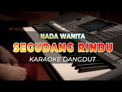 SEGUDANG RINDU – KARAOKE DANGDUT REMIX CAMELIA MALIK – NADA WANITA – HQ AUDIO