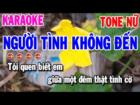 Karaoke Người Tình Không Dến Tone Nữ || Nhạc Sống Mới Dễ Hát