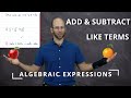 Like Terms and Algebraic Expressions
