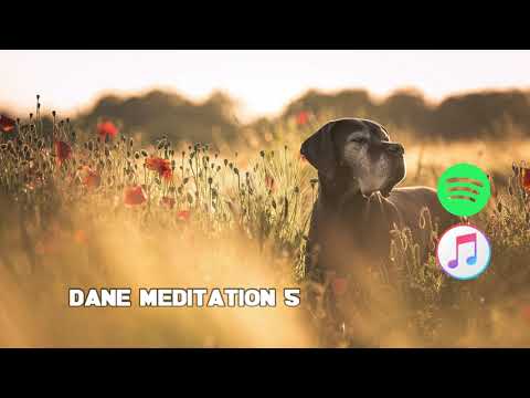 Dane Meditation 5 - Chill/Background - Royalty Free Music