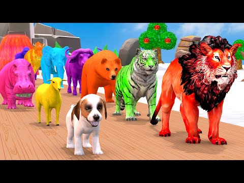 Paint Animals Duck,Elephant,Tiger,Cow,Lion,Buffalo,Gorilla,Dinosaur Fountain Crossing 3d Animal Game