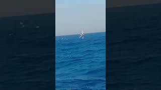 wind surf a davoli