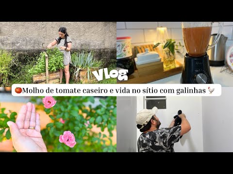 VLOG DO FIND 🍃INSTALAMOS A PRATELEIRA ♥️ molho de tomate caseiro e vida no sitio com galinhas