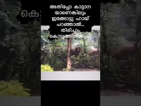 രസകരമായ കമന്റുകൾ പ്രതീക്ഷിക്കുന്നു