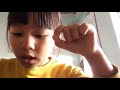 Understanding the Number Sequence